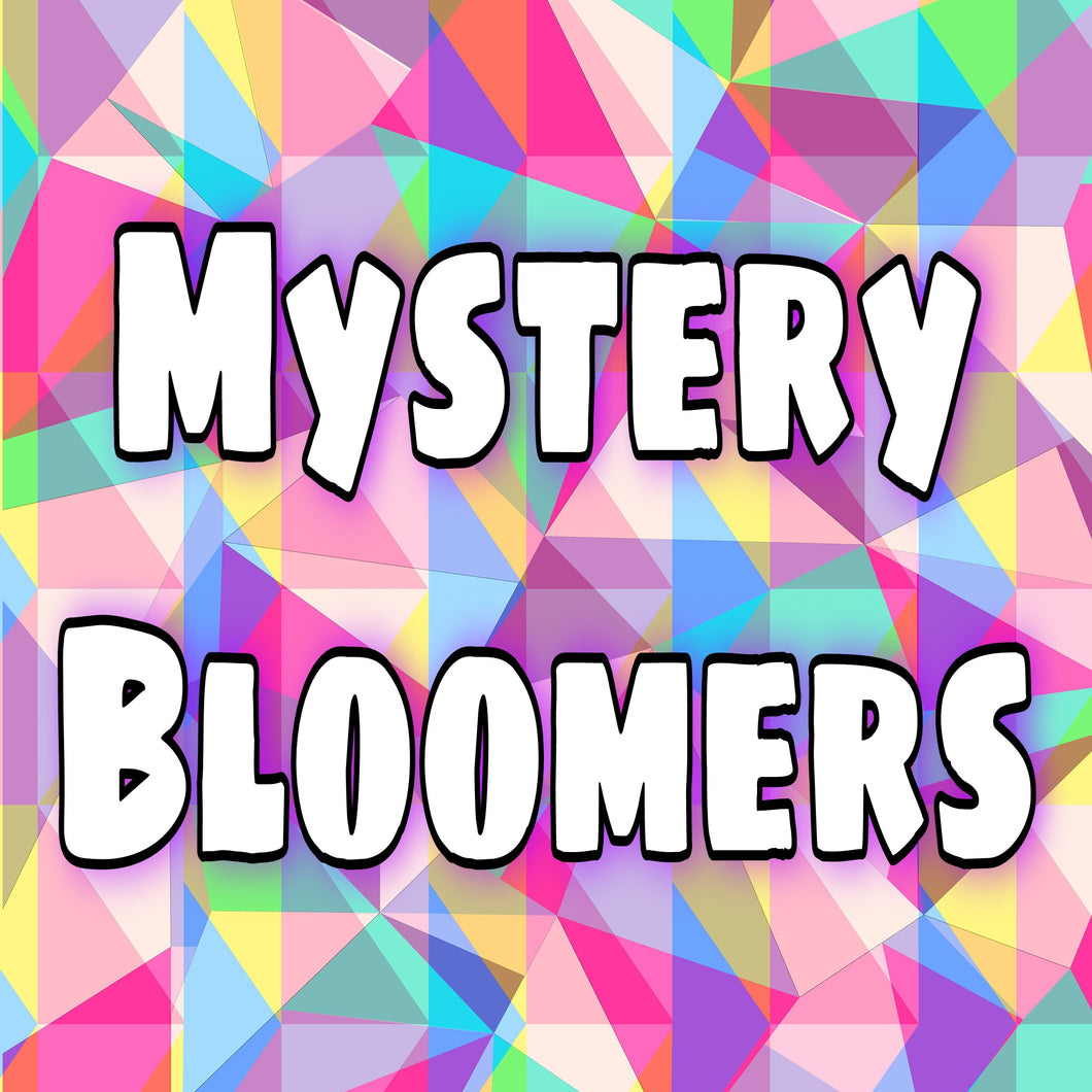 Mystery Bloomers